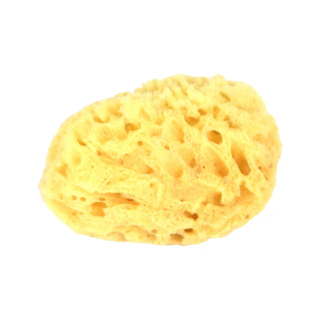 Body Sponge Dead Sea